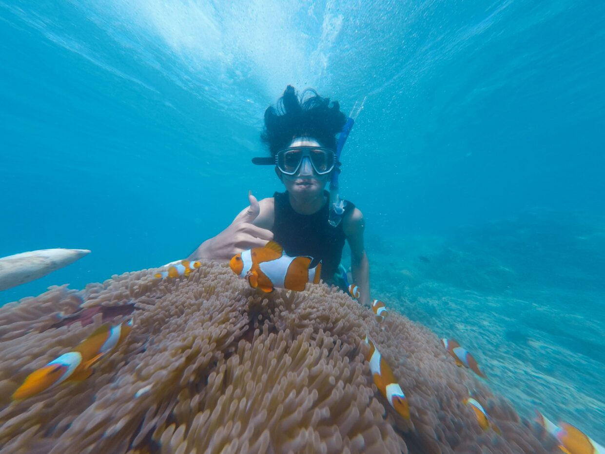 Andaman vs Goa: Choose Your Next Destination